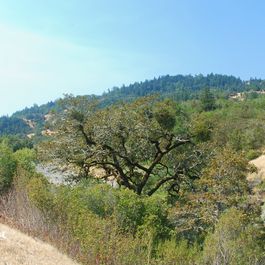 pano_DSC_4099-DSC_4101.jpg