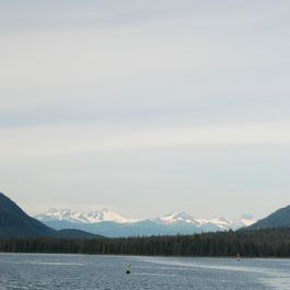 tb_DSC_3444.JPG