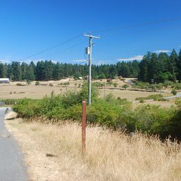 tb_DSC_3671.JPG