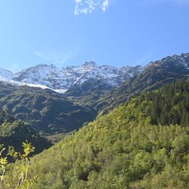 DSC_5892.JPG