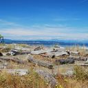tb_DSC_3593.JPG