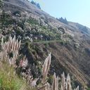 tb_pano_DSC_4218-DSC_4222.jpg