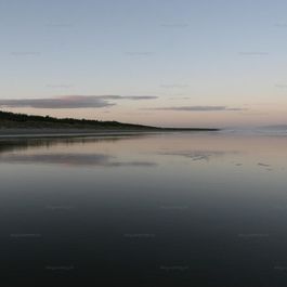 IMG_3498.jpg