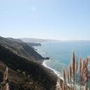 tb_DSC_4223.JPG