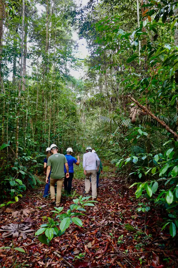 Precious Woods Holding AG