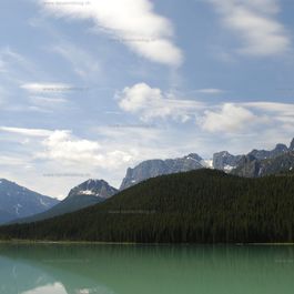 w__DSC2095.jpg