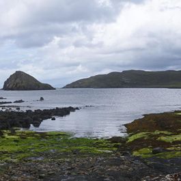 DSC_1733 - DSC_1736.jpg