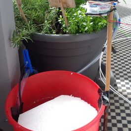 IMG_20130512_155337_web.jpg