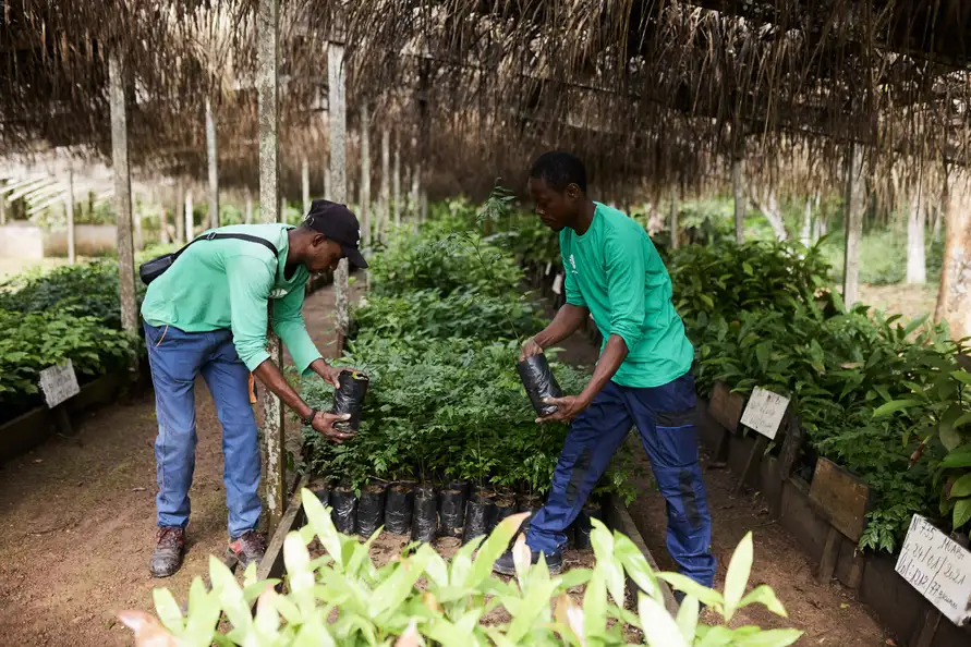 Precious Woods Holding AG