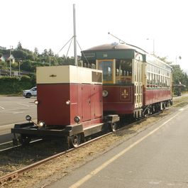 tb_DSC_3844.JPG