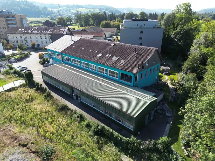 Immo-Suisse-Holding AG