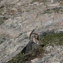 w_IMG_4835.jpg