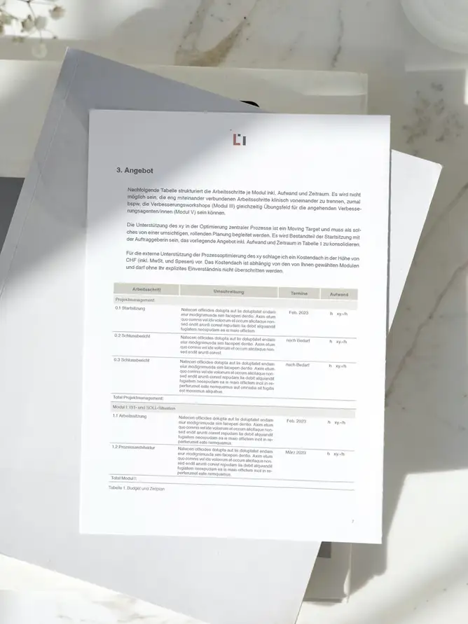 Laura Inderbitzi - Beratung und Organisationsentwicklung GmbH