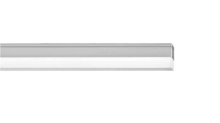 Spinaled mit Punktraster