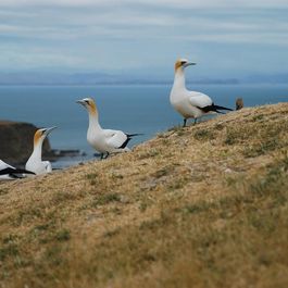 reise_027_19.jpg