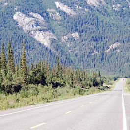 tb_DSC_2997_v1.JPG