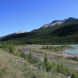 w_IMG_4886.jpg