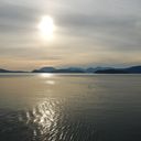 tb_DSC_3468.JPG