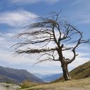 reise_064_14.jpg