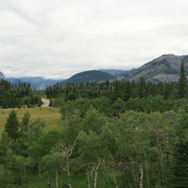 w_panorama.jpg