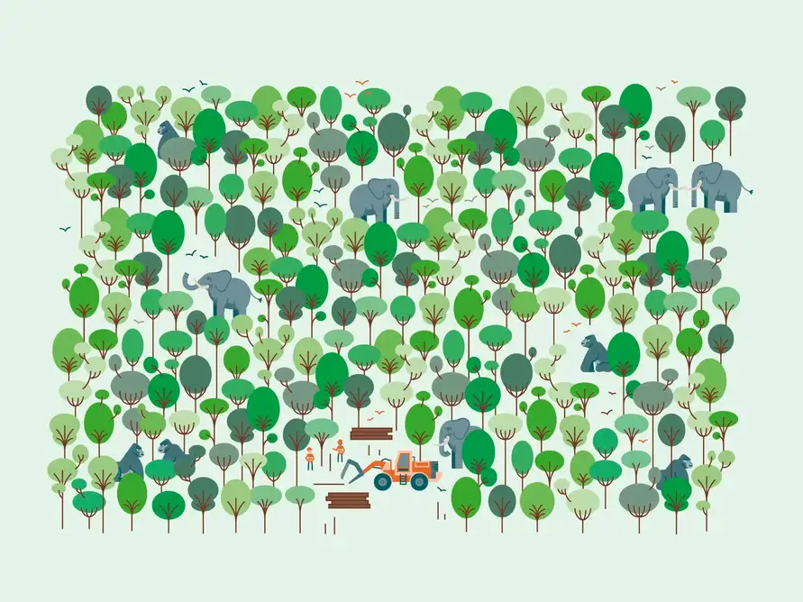 Precious Woods Holding AG