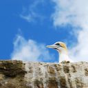 reise_027_22.jpg