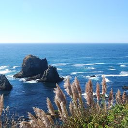 tb_DSC_4132.JPG