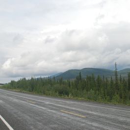 tb_DSC_3029.JPG