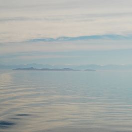 tb_DSC_3415.JPG