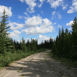 w_IMG_4948.jpg