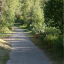 w_IMG_4993.jpg