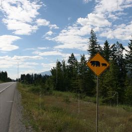 w_IMG_4978.jpg
