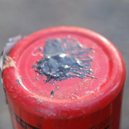 tb_DSC_2938.JPG