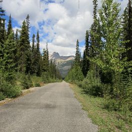 w_IMG_4950.jpg