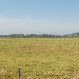 pano_DSC_4004-DSC_4008.jpg