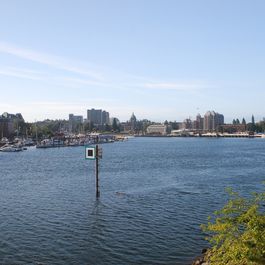 tb_DSC_3689.JPG