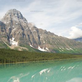 w_DSC_2088.jpg