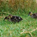 reise_026_10.jpg