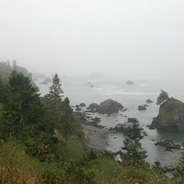tb_DSC_3987.JPG