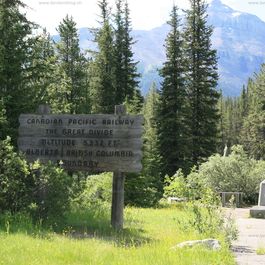 w_IMG_4960.jpg
