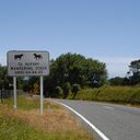 reise_016_12.jpg