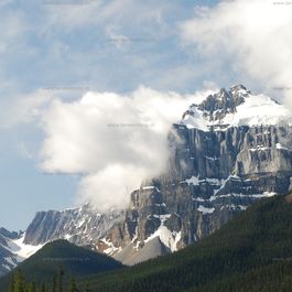 w_DSC_2082.jpg