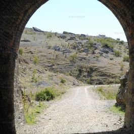 reise_058-060_27.jpg