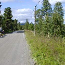 tandemblog_norway2011_12.jpg