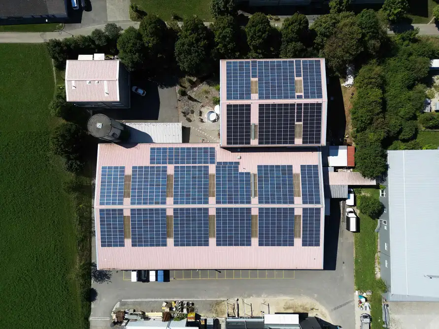 Immo-Suisse-Holding AG