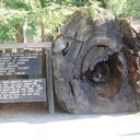 tb_DSC_4080.JPG