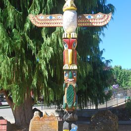 tb_DSC_3735.JPG