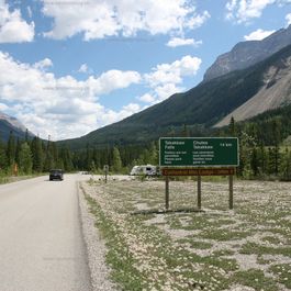 w_IMG_4962.jpg