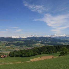panorama_v1_wm.jpg