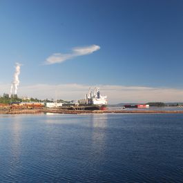 tb_DSC_3661.JPG
